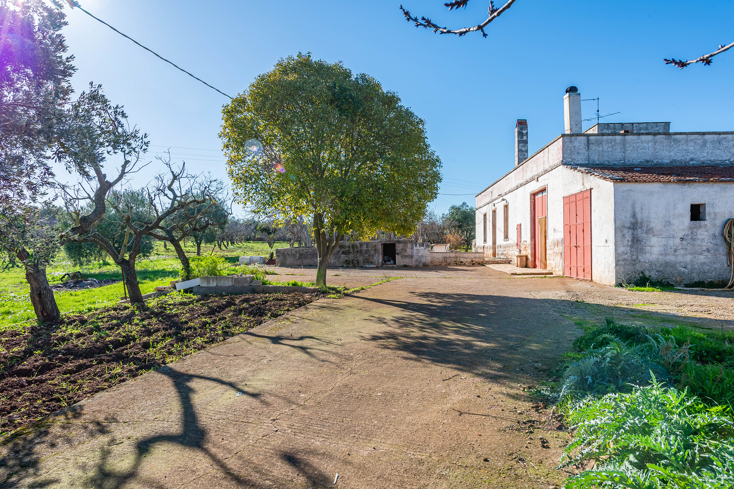 Vendita di Masseria e casali a Castellana Grotte